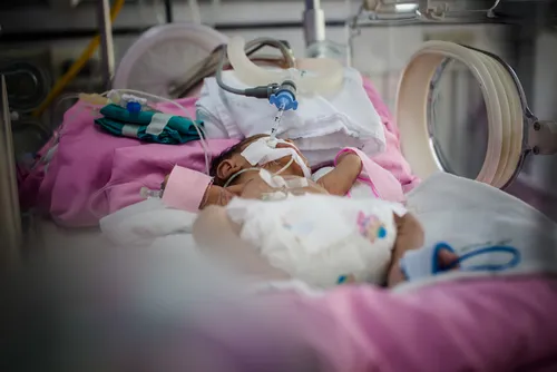 shutterstock_273372155