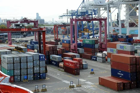 916442-conteiner-20foto-20guadalupe-20lombardo