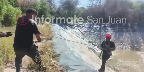 Captura de pantalla_26-3-2026_221052_www.instagram.com