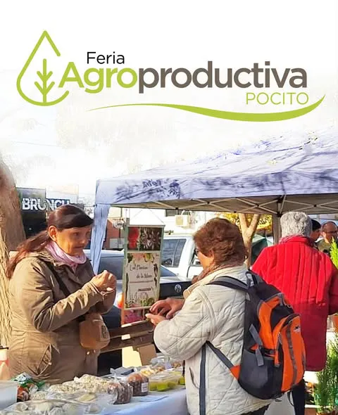 WhatsApp Image 2025-05-09 at 09.30.09