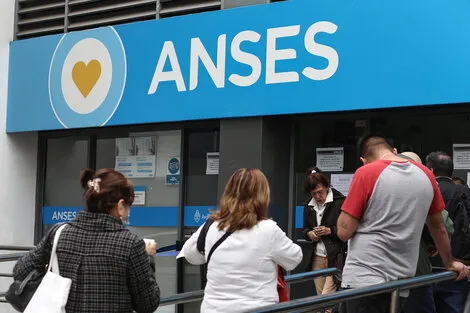 anses-dafne-gentinetta-1-