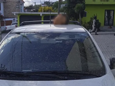 de05e87a88492776566746d8bcf2887f_M