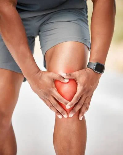 rodilla