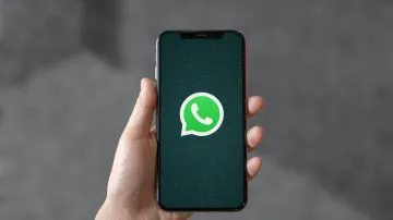 64d4c7eb2f6ec_360_202!