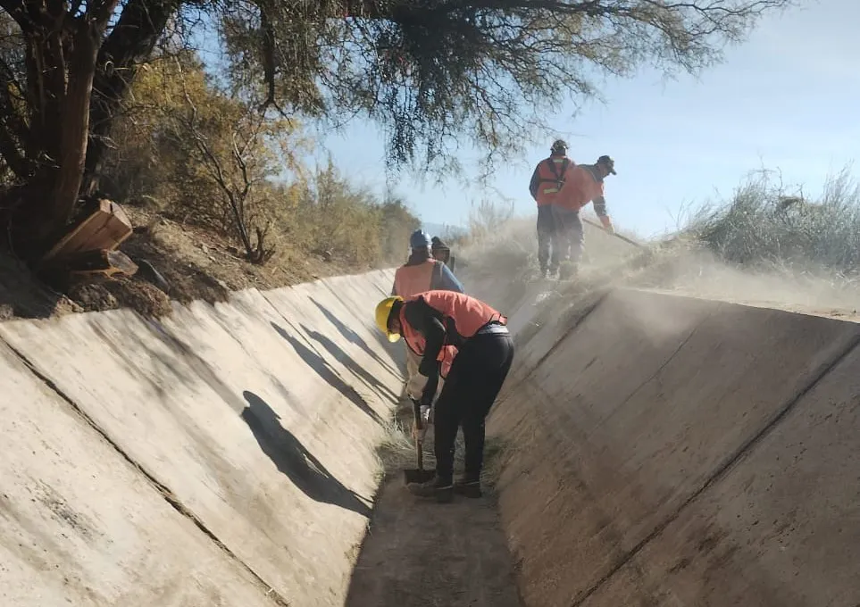 54700702982_3bf3320bcf_b