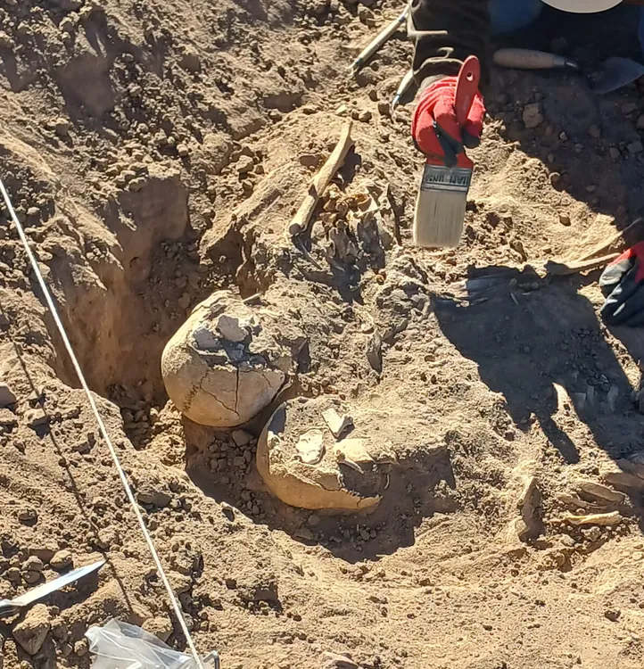 WhatsApp Image 2024-06-20 at 07.32.38