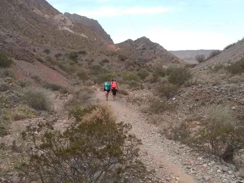 WhatsApp Image 2025-05-07 at 17.51.55