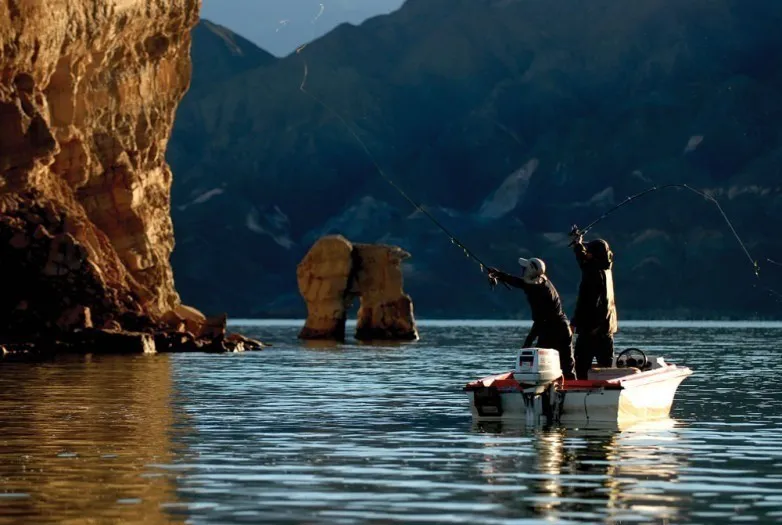 00493dcb0ff552fab1aa10ba2e6a2934_L