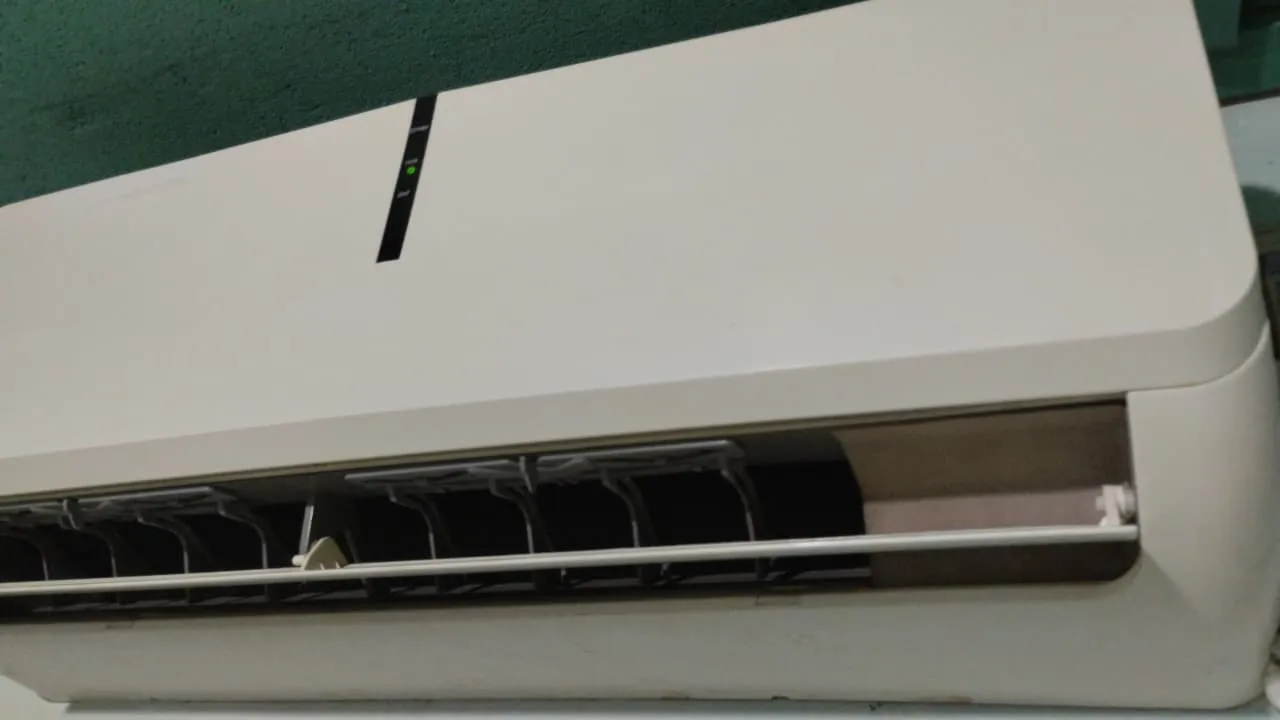 WhatsApp Image 2026-01-19 at 11.18.29