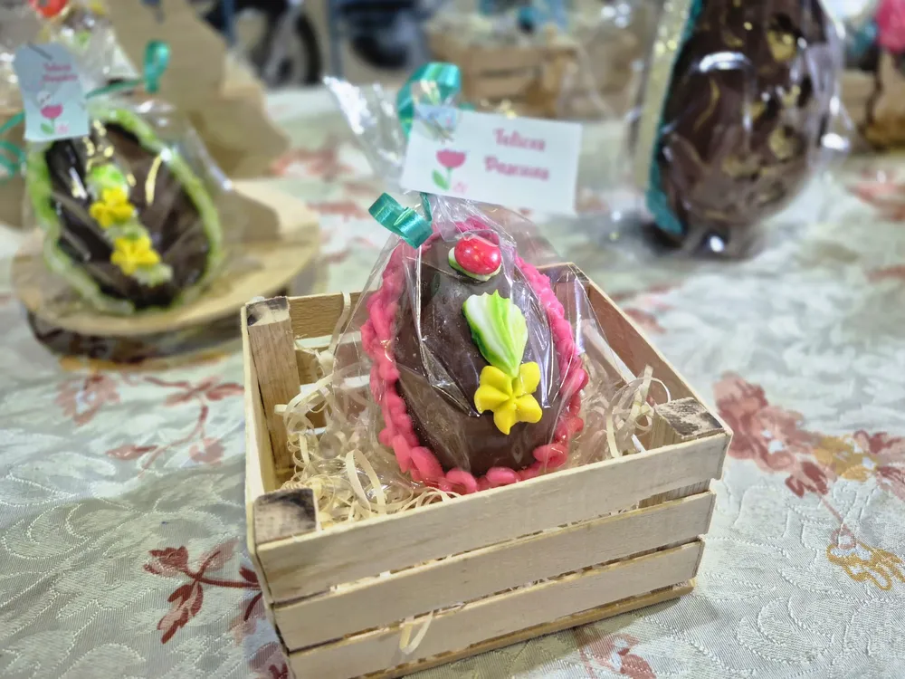 WhatsApp Image 2026-03-31 at 23.47.10