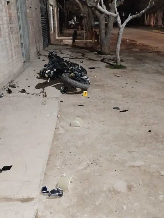 WhatsApp Image 2024-07-30 at 07.14.14