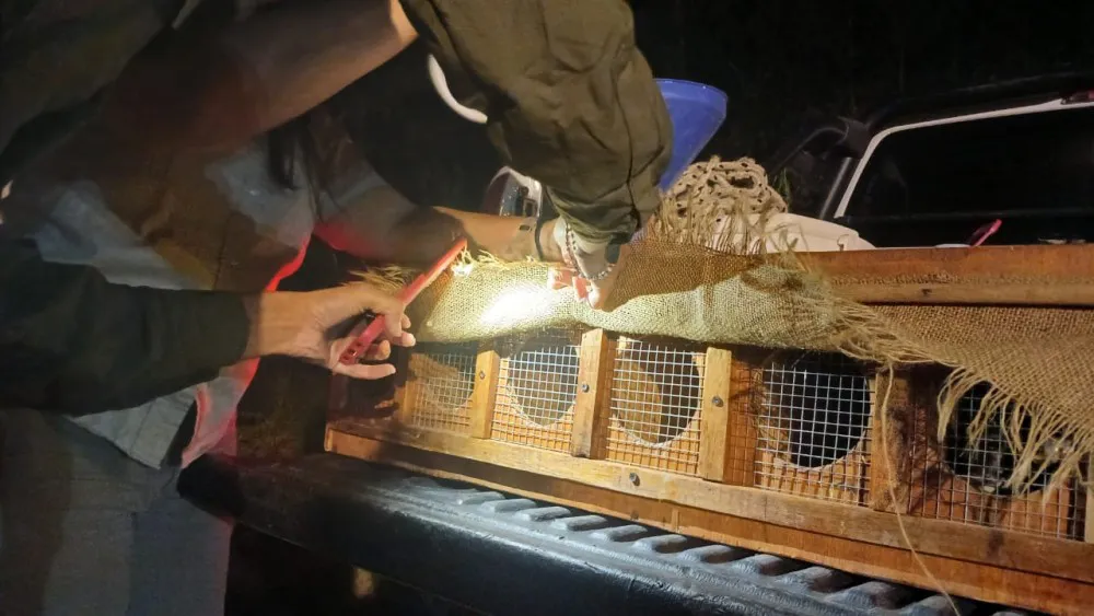 3b4c055aa9ac1c1fd374b568e1c50738_XL