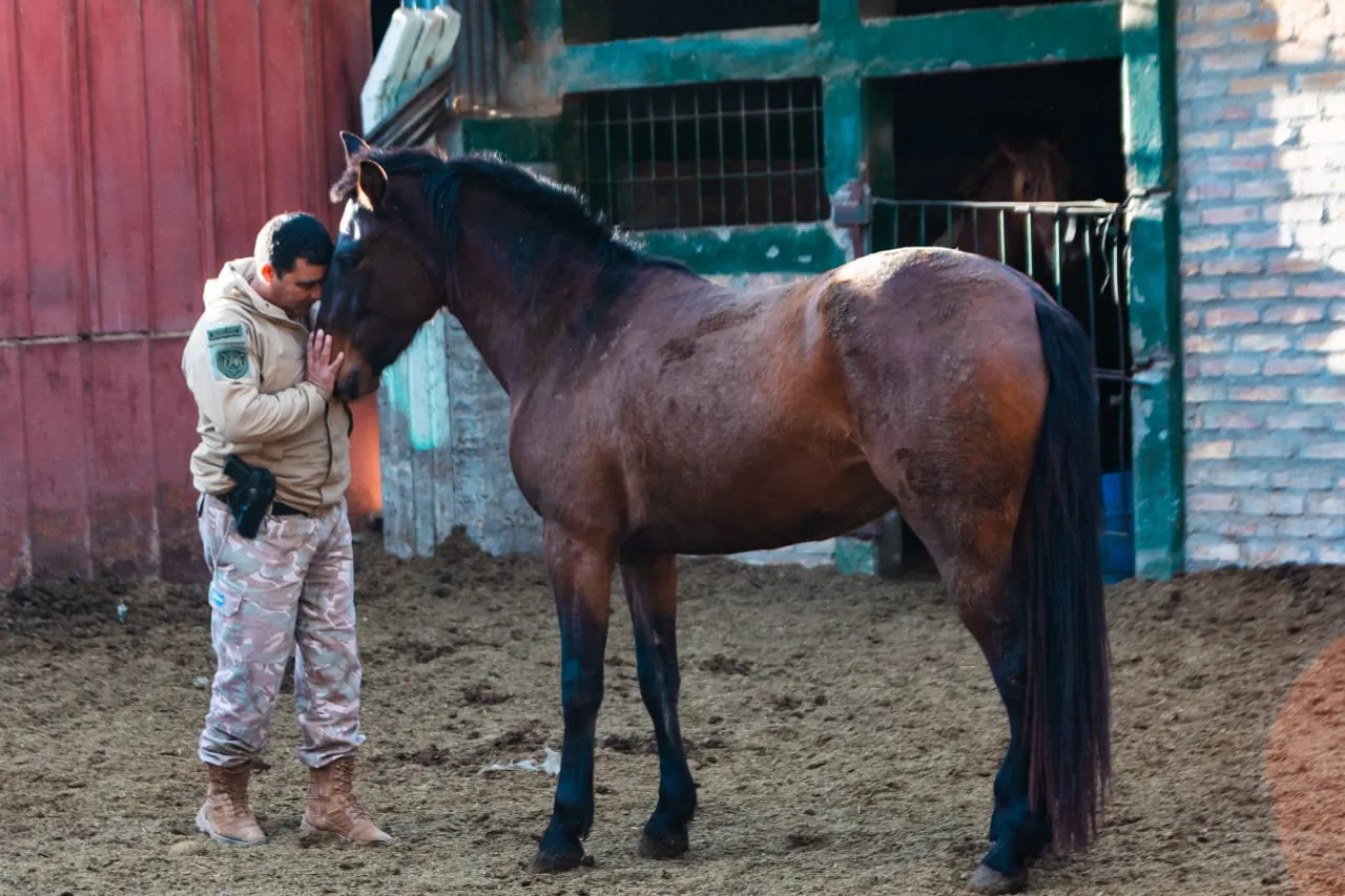 WhatsApp Image 2025-07-24 at 13.33.06