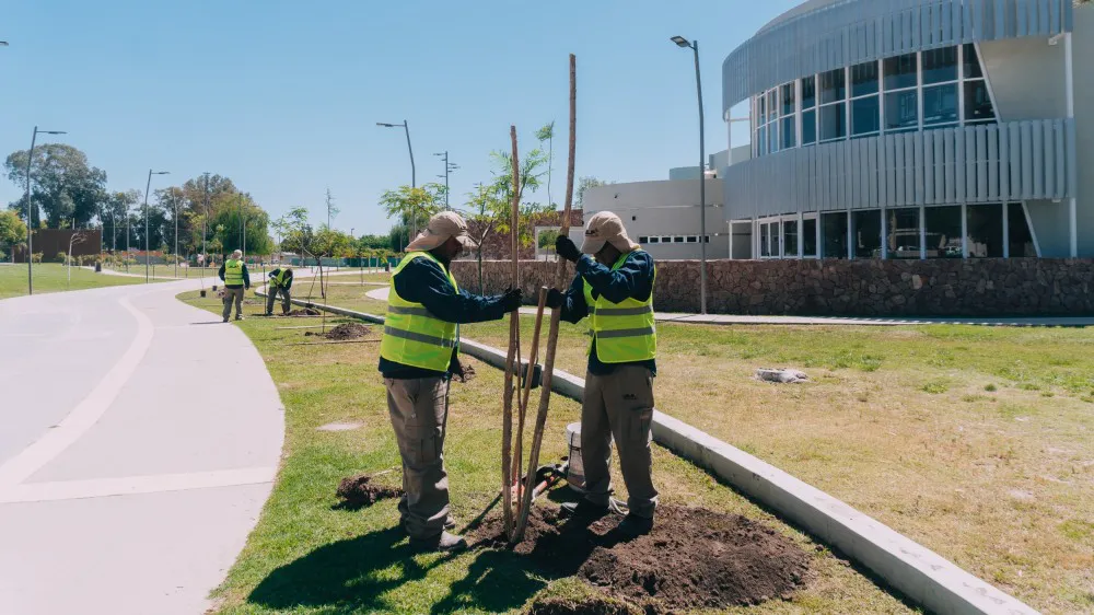 266abeeda46e548eab78106d6d66611c_XL