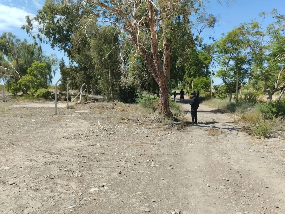 WhatsApp Image 2025-02-13 at 12.32.03