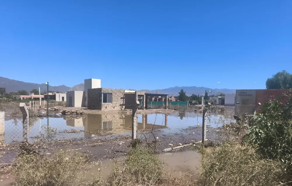 WhatsApp Image 2026-02-02 at 15.21.44 (1)