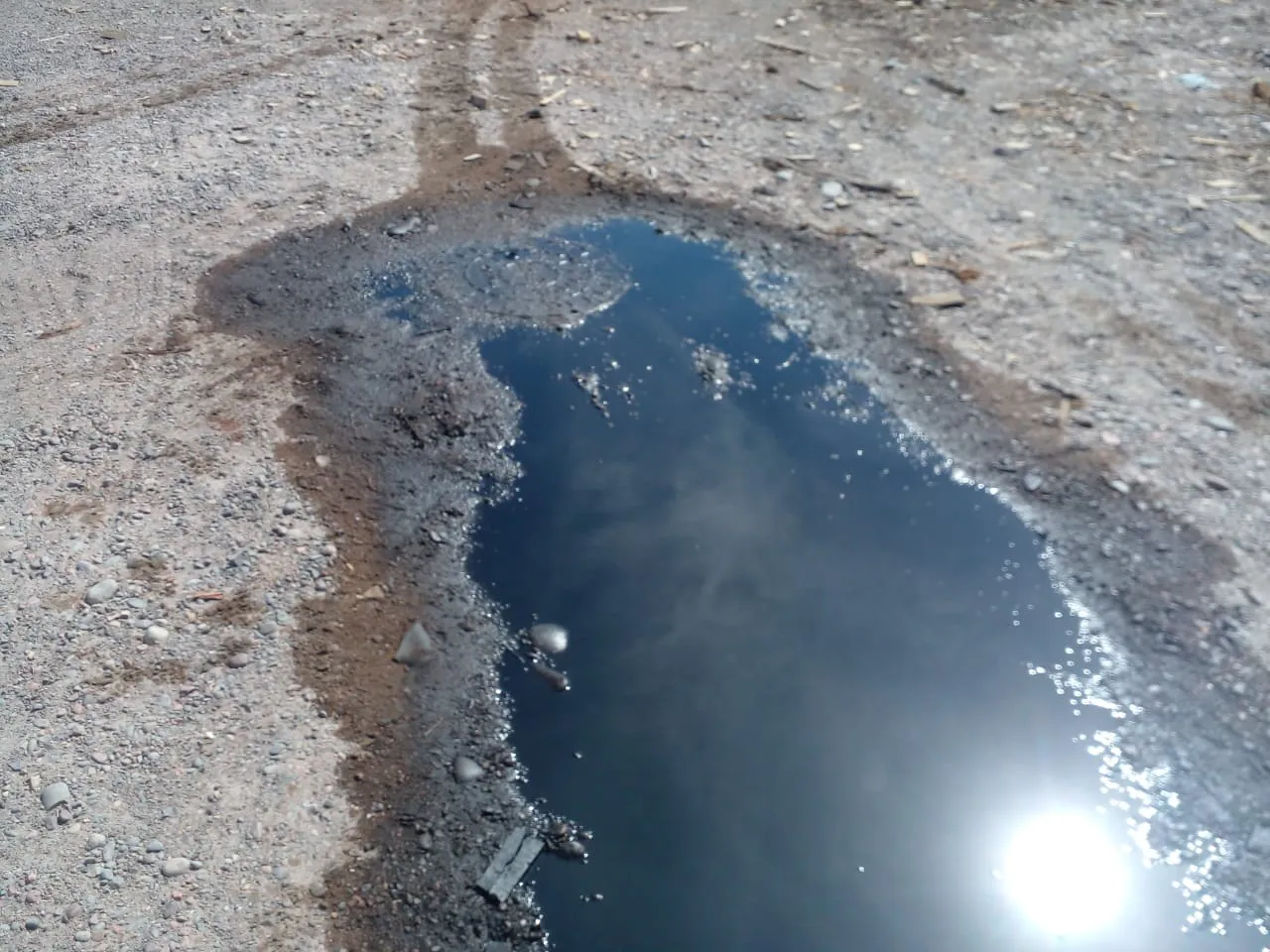 WhatsApp Image 2025-09-24 at 13.07.25