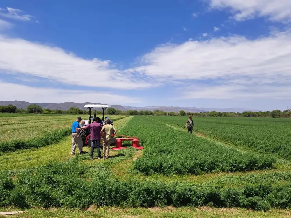 f7c83b27d6ed031f399eae3096f5adca_XL