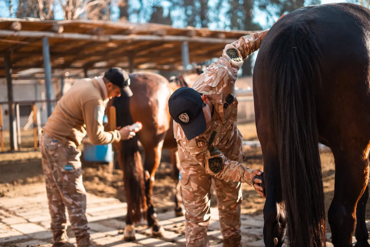 WhatsApp Image 2025-07-24 at 13.33.05