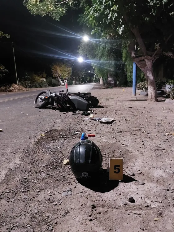 WhatsApp Image 2024-04-29 at 07.16.06