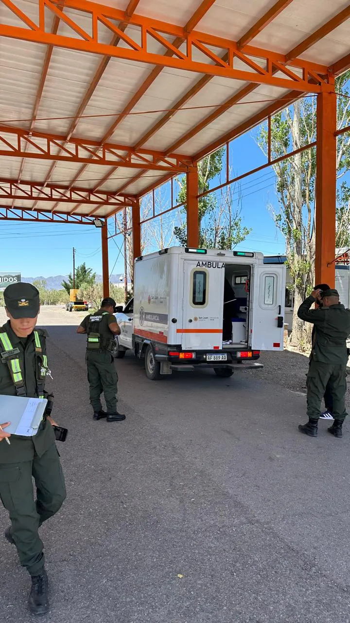 WhatsApp Image 2025-02-15 at 16.11.31