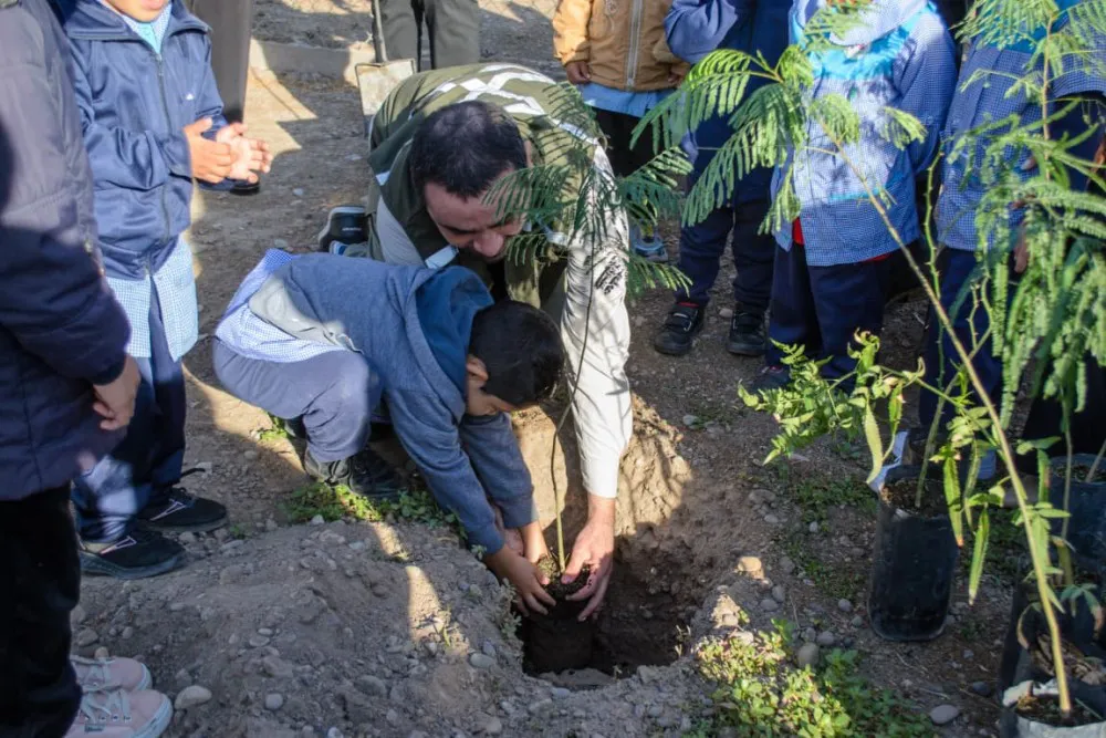 033f059470126d89b0c0ec6f0bdade49_XL