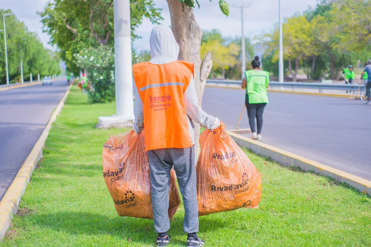 WhatsApp Image 2026-03-20 at 08.26.48