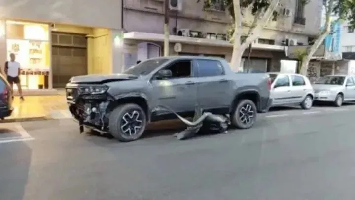 WhatsApp Image 2025-11-26 at 11.26.01 (2)