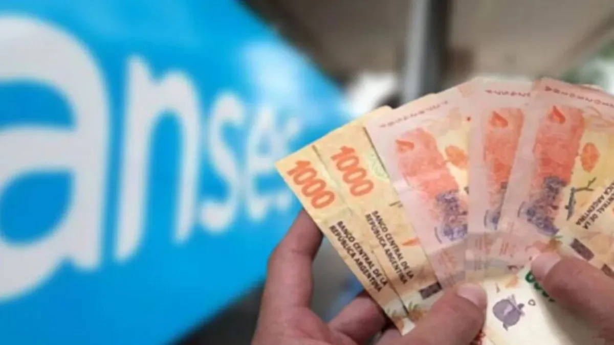 anses-paga-17000-titulares-la-auh-que-completen-un-formulario