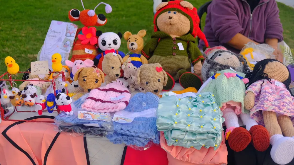 WhatsApp Image 2025-01-02 at 09.42.33