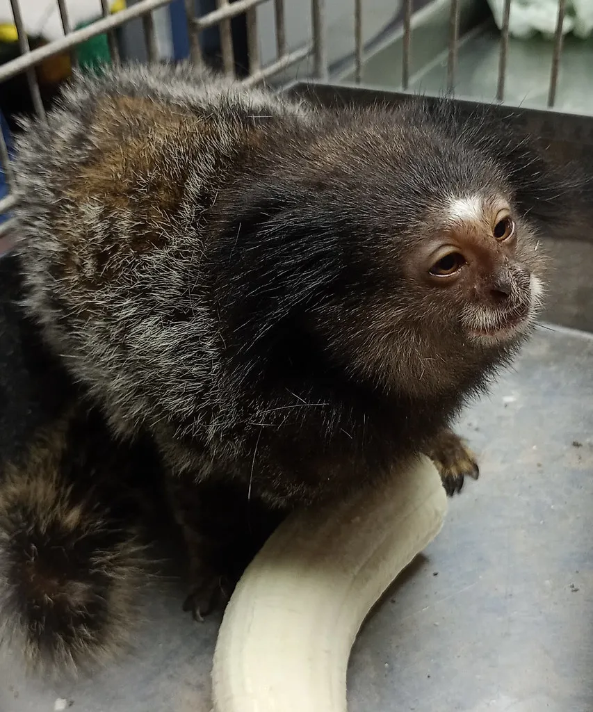 54254300441_344868c21b_b