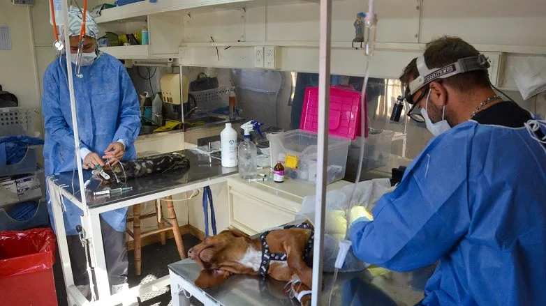 62835bf6646eb505893539195b59a009_L