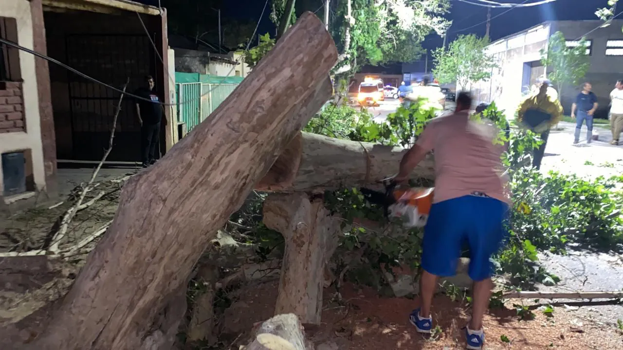 WhatsApp Image 2024-10-01 at 06.59.14