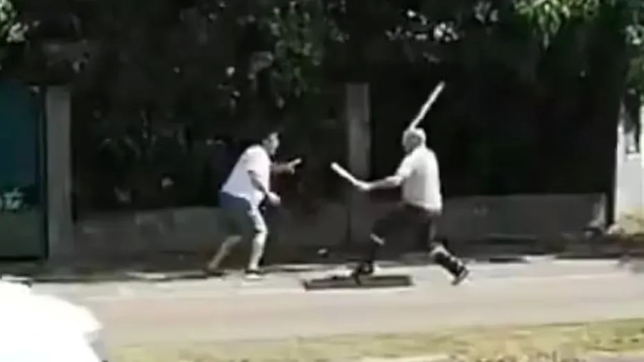 pelea