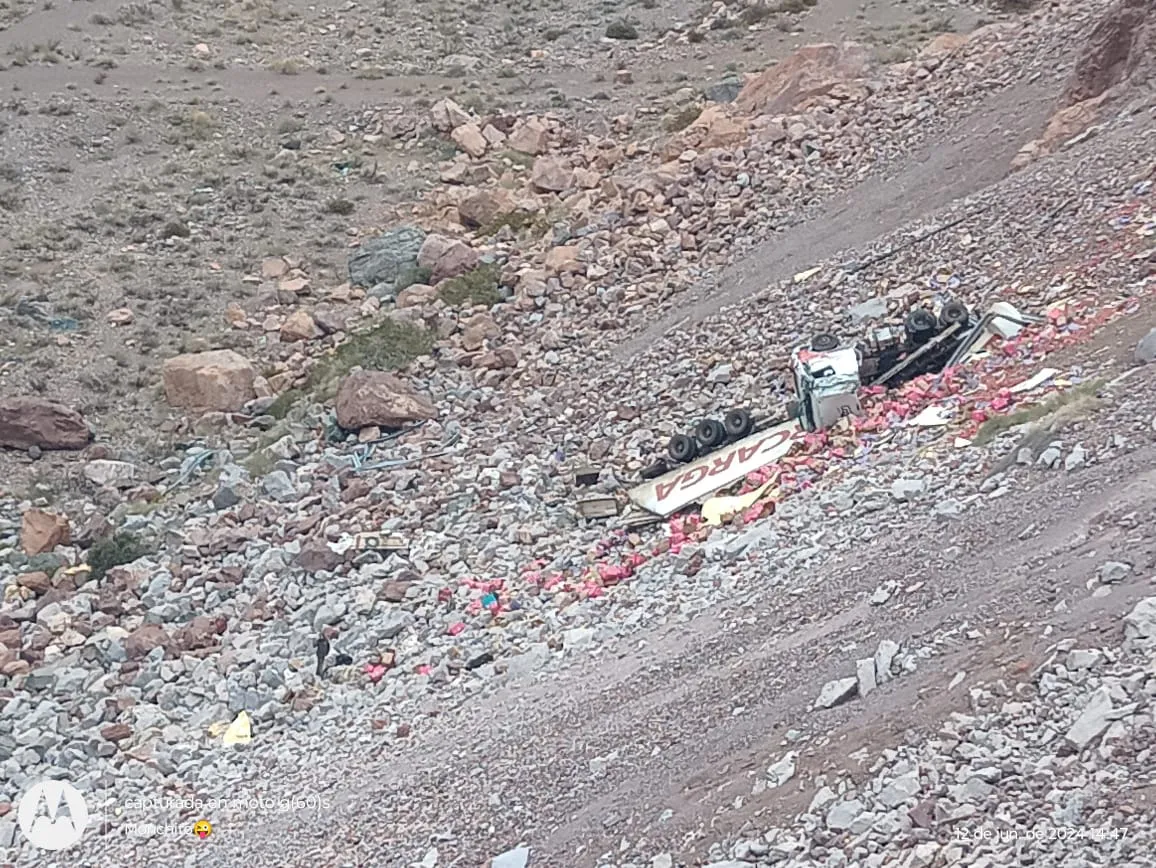 WhatsApp Image 2024-06-12 at 18.26.41