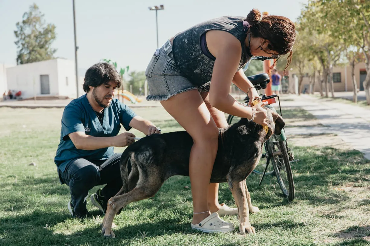 WhatsApp Image 2025-03-19 at 7.56.40 PM