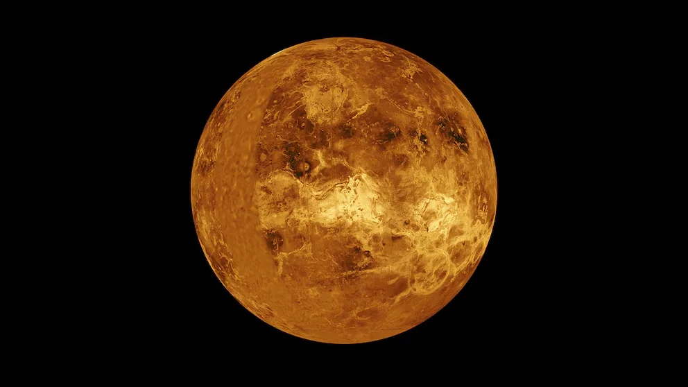 VENUS
