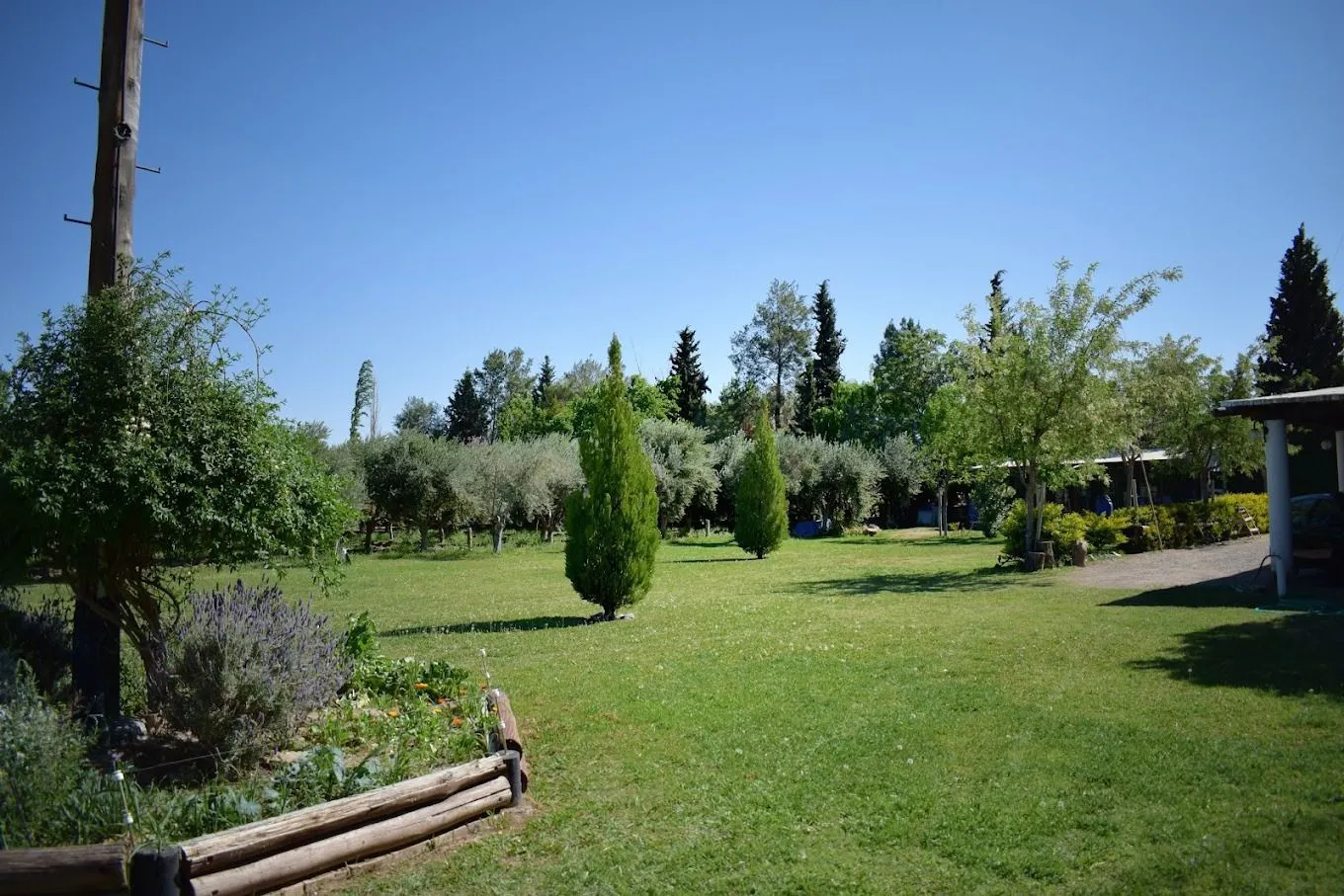 WhatsApp Image 2024-05-23 at 10.40.37