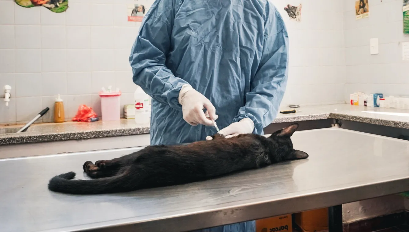 WhatsApp Image 2024-07-12 at 11.43.47