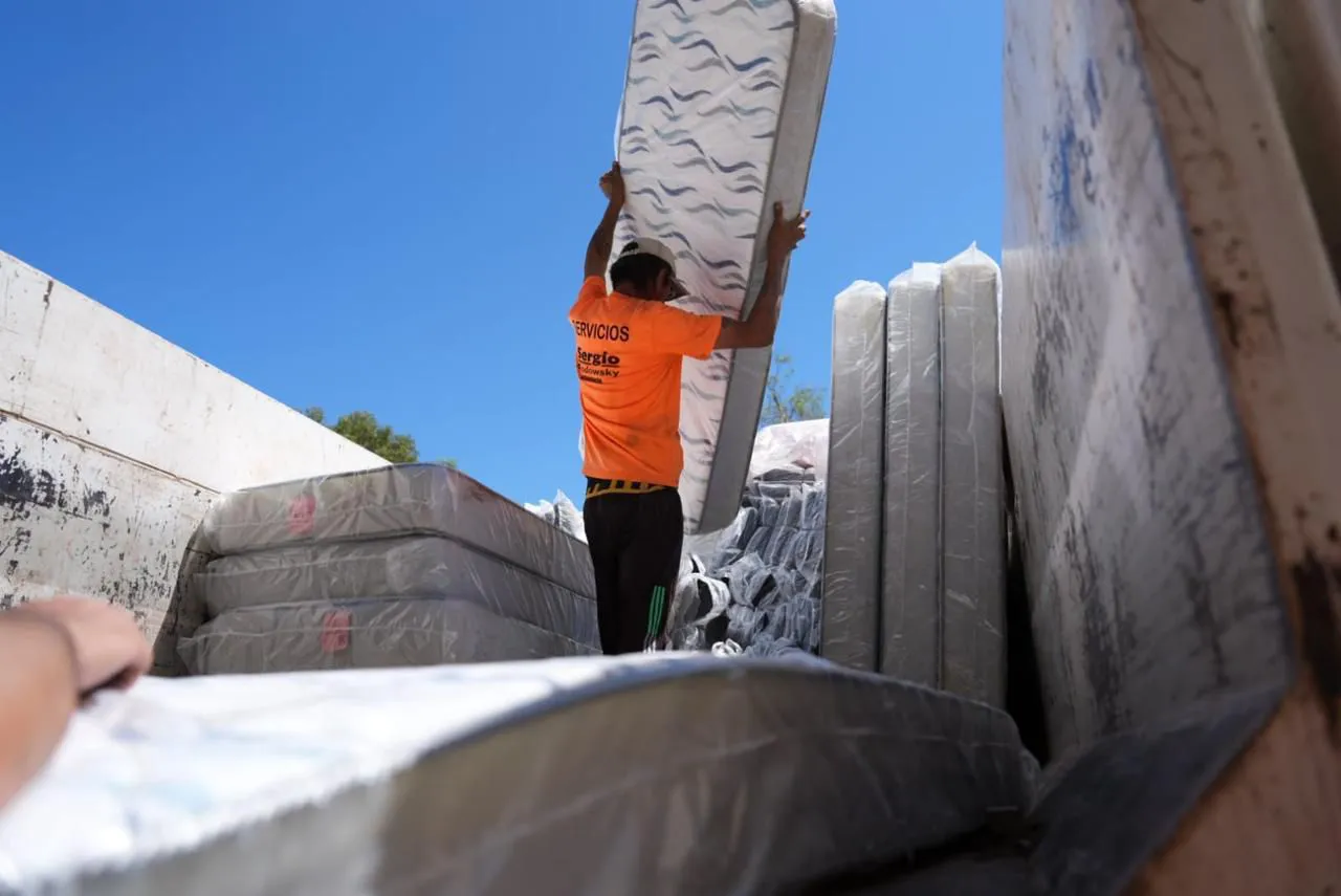 WhatsApp Image 2026-02-01 at 13.01.46