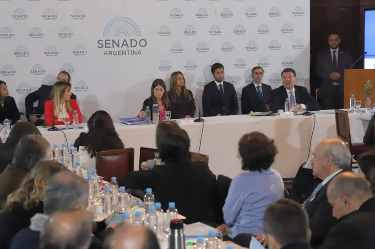 audiencia-ariel-lijo-senado