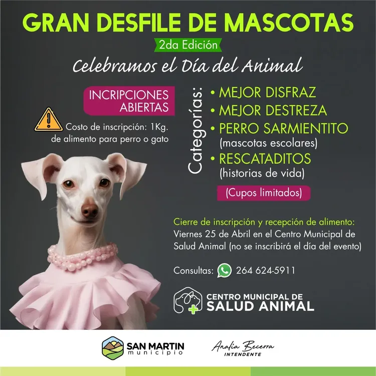 WhatsApp Image 2025-04-16 at 17.46.54