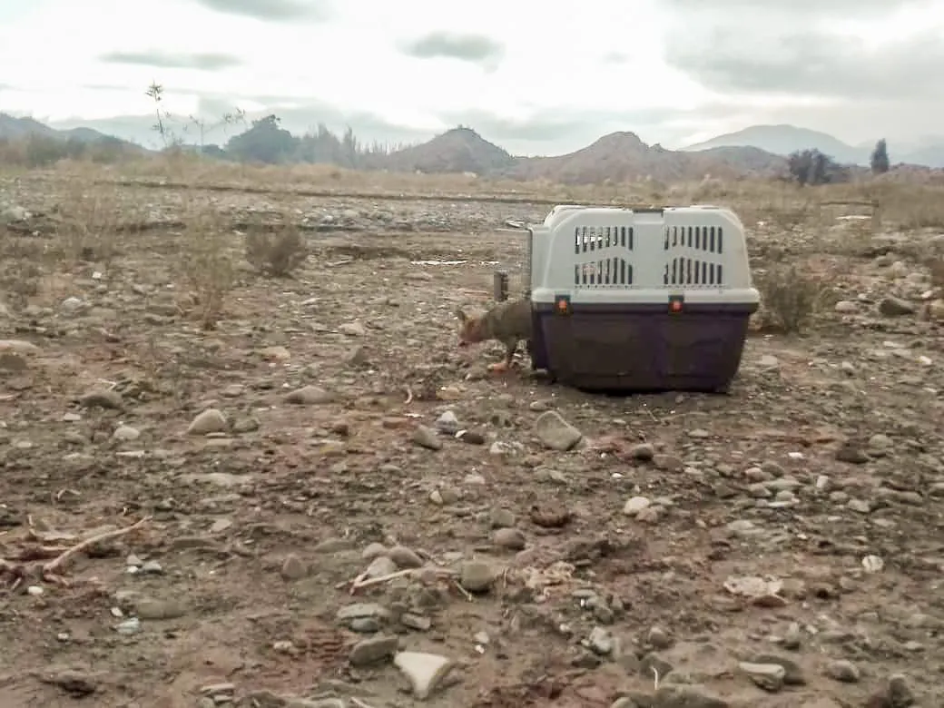 WhatsApp Image 2024-08-10 at 09.26.48