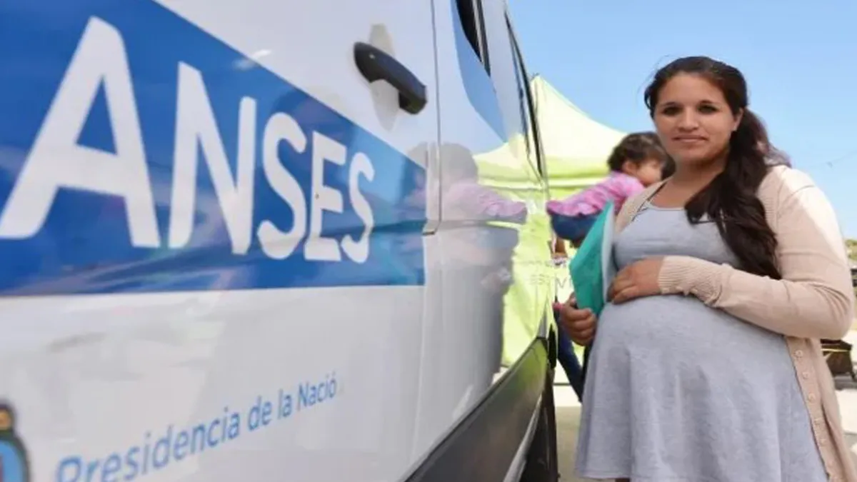 anses-embarazo-lechejpg