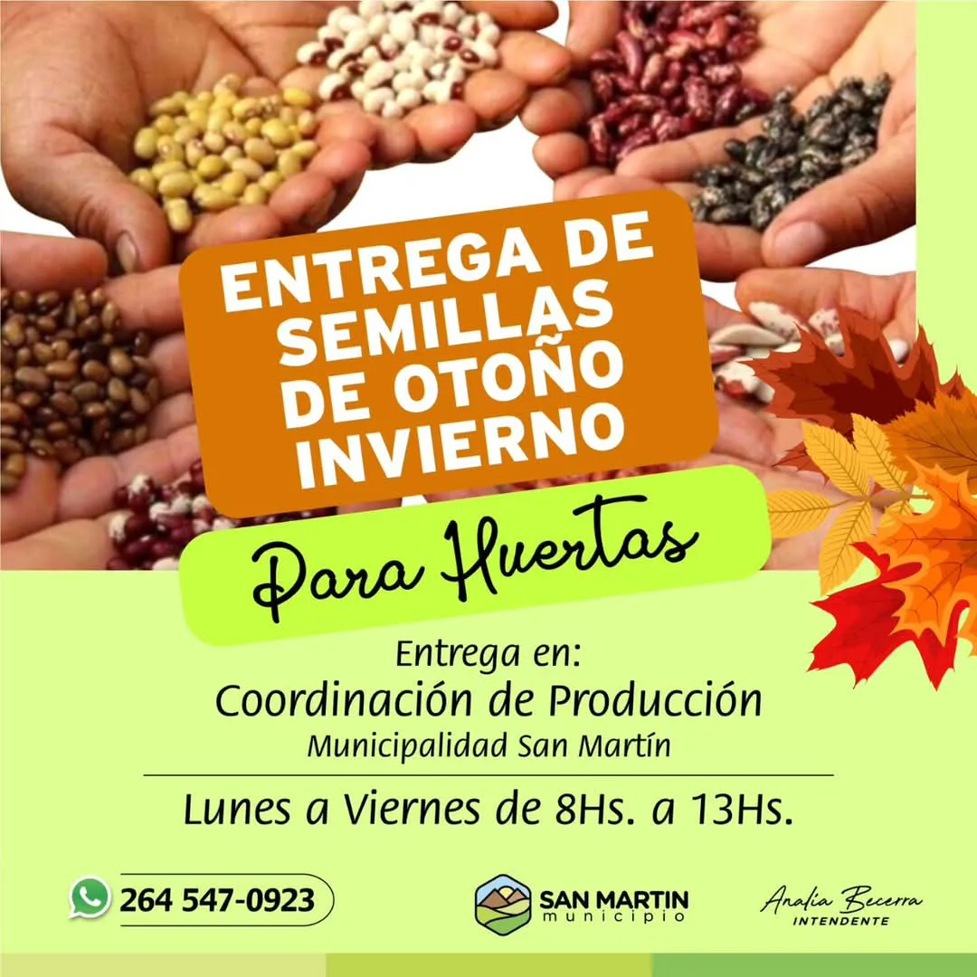 WhatsApp Image 2025-05-19 at 20.06.28