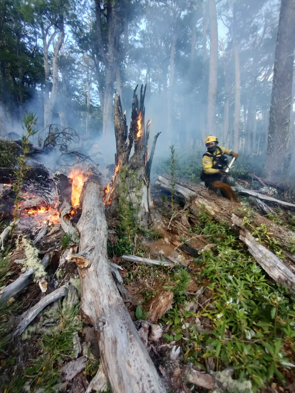 WhatsApp Image 2025-02-12 at 12.02.43 (1)