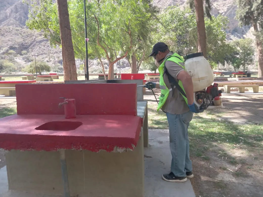 WhatsApp Image 2024-12-11 at 09.08.03