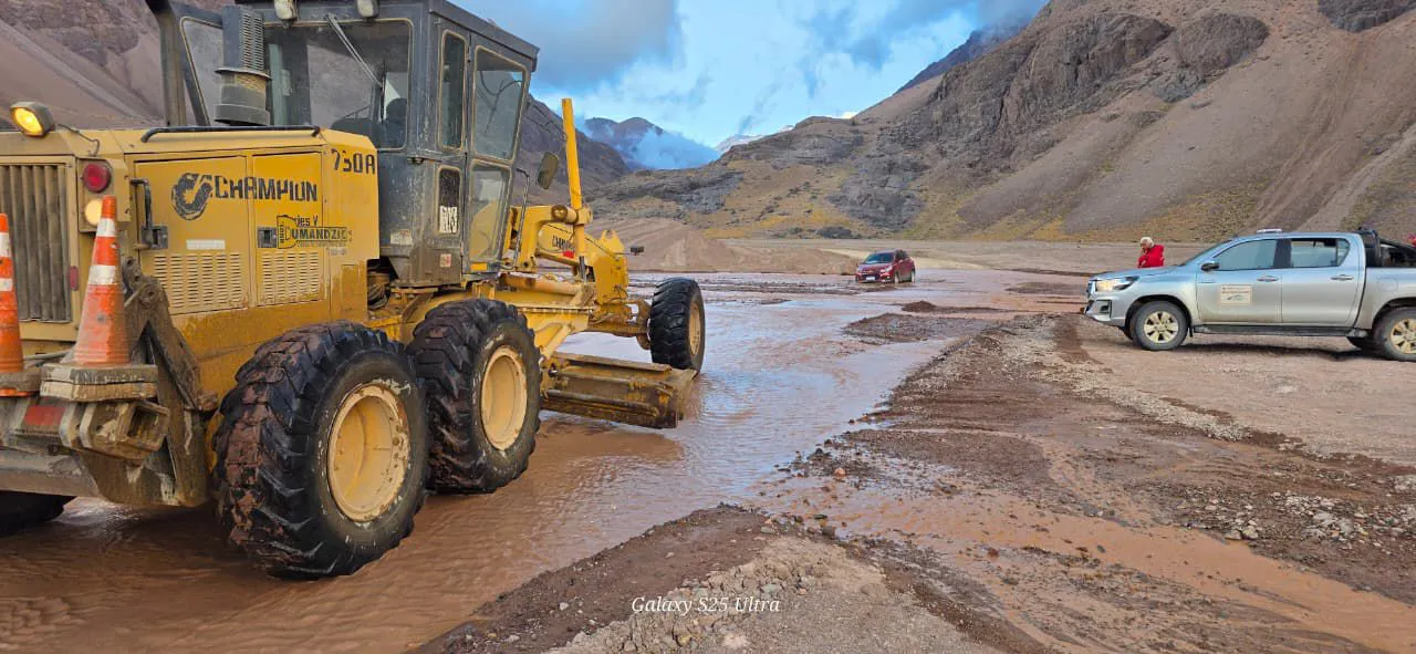 WhatsApp Image 2026-01-24 at 10.05.52