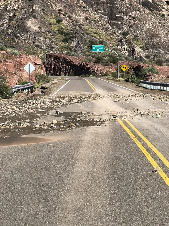 WhatsApp Image 2026-02-02 at 7.21.04 PM