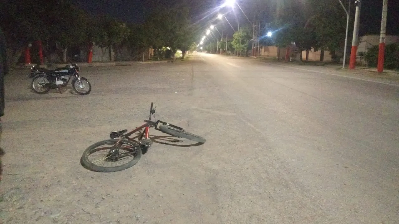 WhatsApp Image 2024-10-19 at 08.30.10